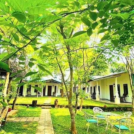 Kingfisher Resort Σιγκιρίγια Εξωτερικό φωτογραφία