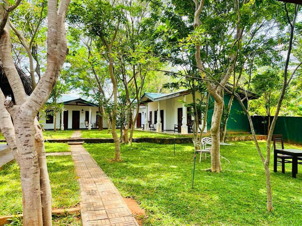 Kingfisher Resort Σιγκιρίγια Εξωτερικό φωτογραφία