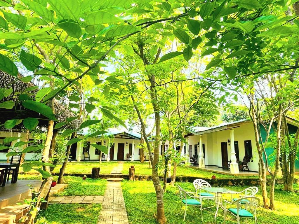 Kingfisher Resort Σιγκιρίγια Εξωτερικό φωτογραφία