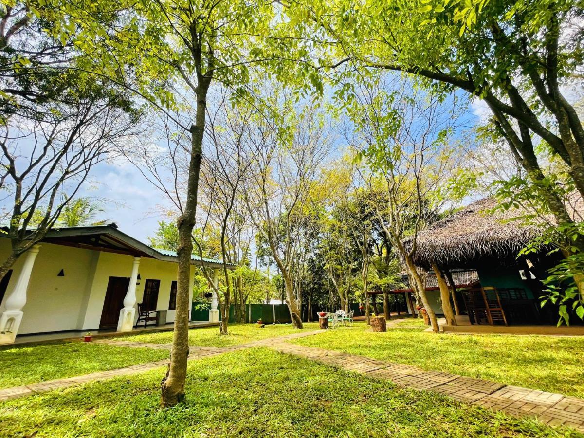 Kingfisher Resort Σιγκιρίγια Εξωτερικό φωτογραφία