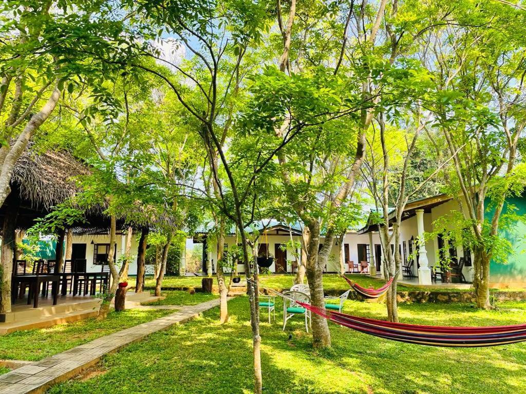 Kingfisher Resort Σιγκιρίγια Εξωτερικό φωτογραφία