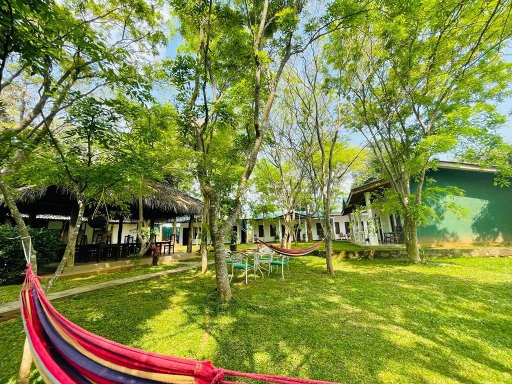 Kingfisher Resort Σιγκιρίγια Εξωτερικό φωτογραφία