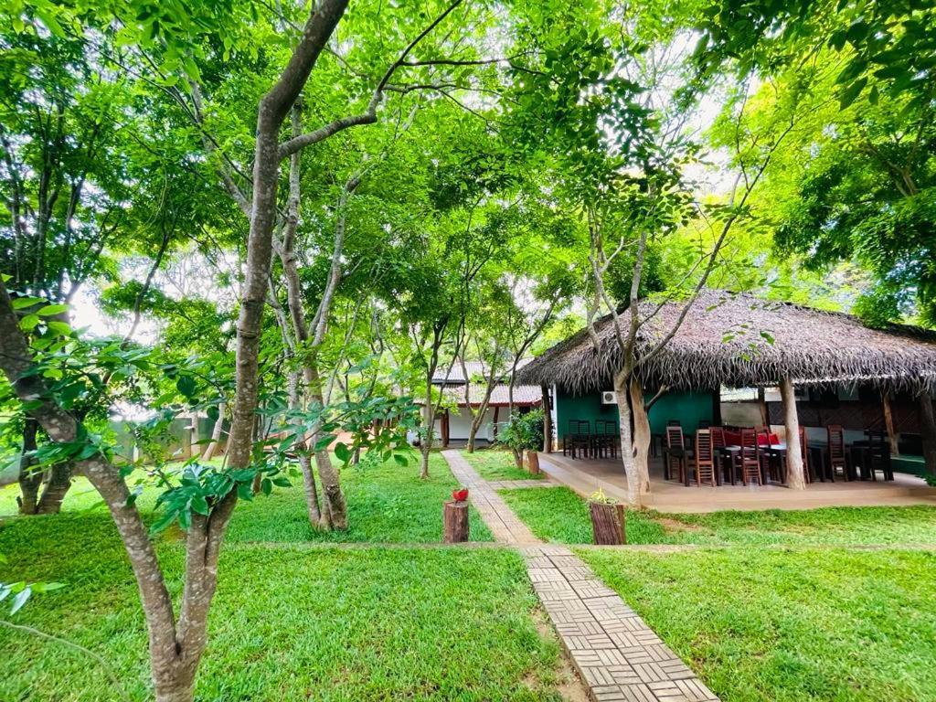 Kingfisher Resort Σιγκιρίγια Εξωτερικό φωτογραφία